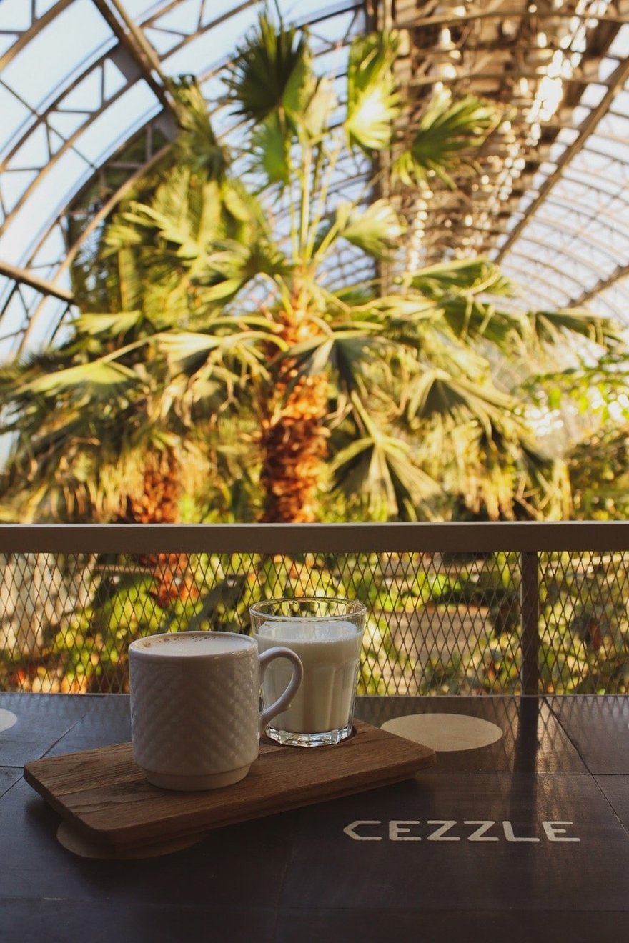 Кафе в оранжерее Таврического сада 