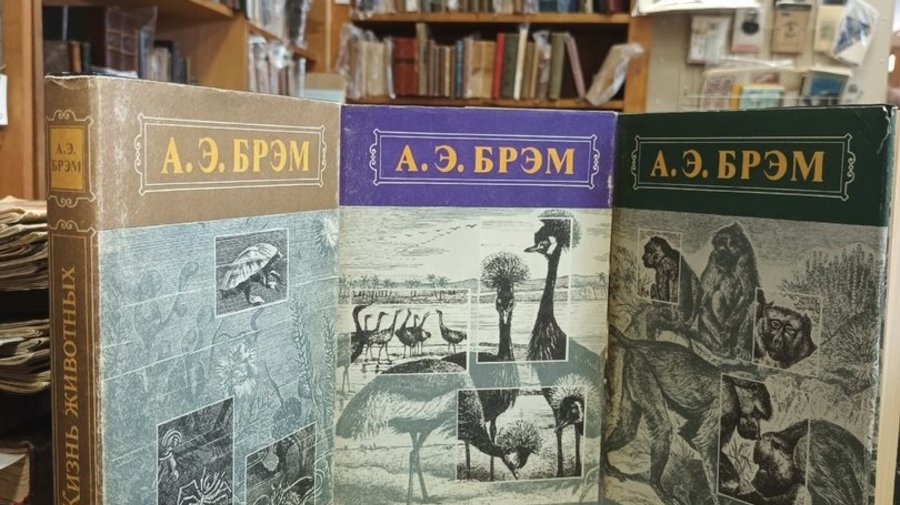 «Старая книга»