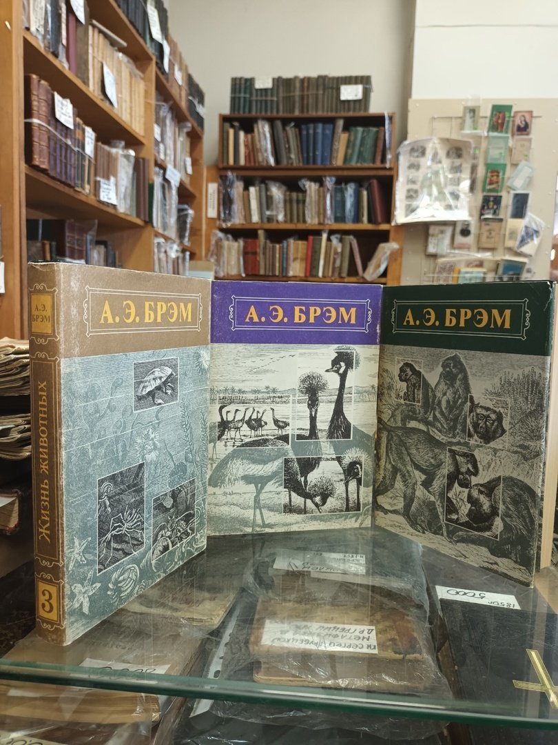 «Старая книга»