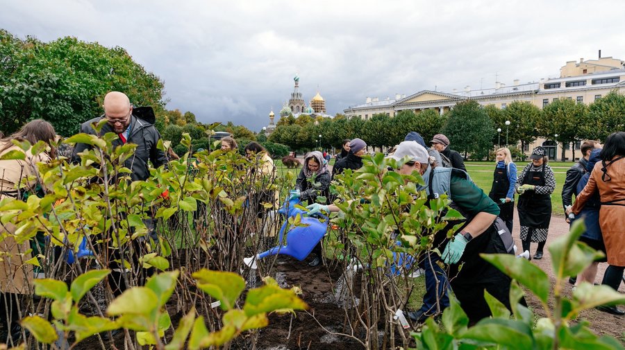 Комитет по благоустройству пригласил петербуржцев поучаствовать в озеленении города