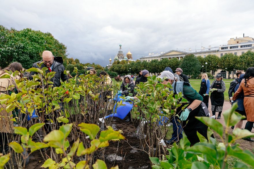 Комитет по благоустройству пригласил петербуржцев поучаствовать в озеленении города