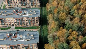 Где устроить осеннюю фотосессию: Юнтоловский заказник