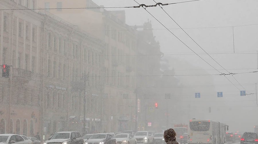 С середины недели в Петербурге заметно похолодает