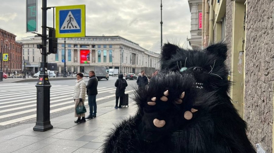 На улицах Петербурга заметили Кота Бегемота