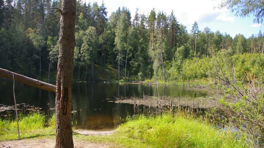 Лесные озёра