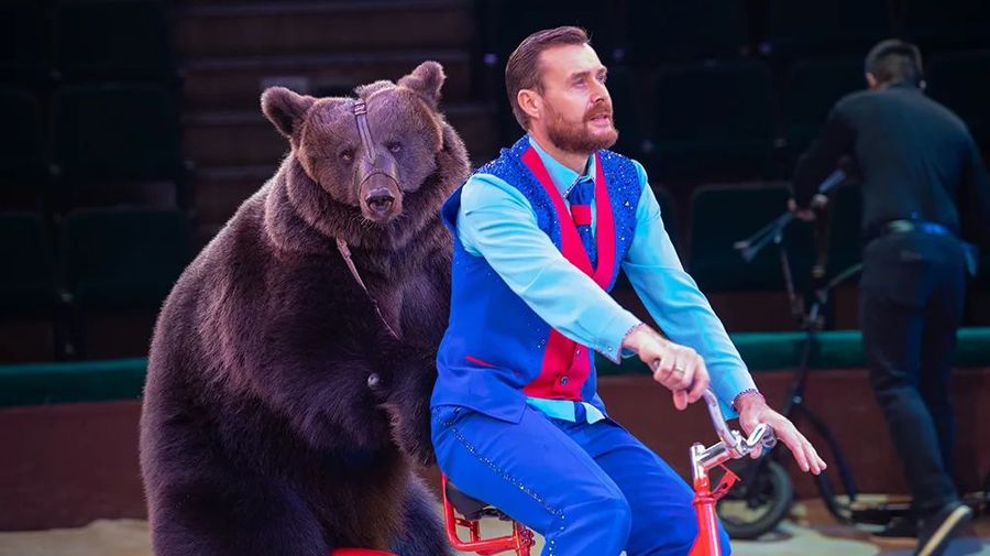 Цирковое шоу «Время чудес» со скидкой 30%