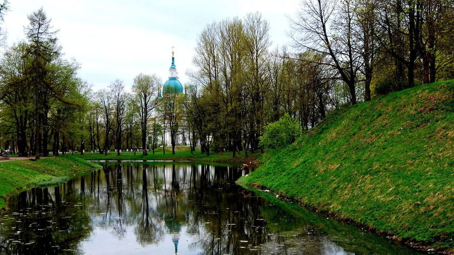 Парк «Романовка»