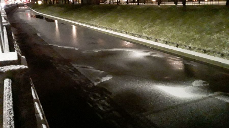 На петербургских водоёмах появился первый лёд