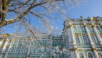 Дни Эрмитажа в Петербурге: на какие новые выставки стоит сходить