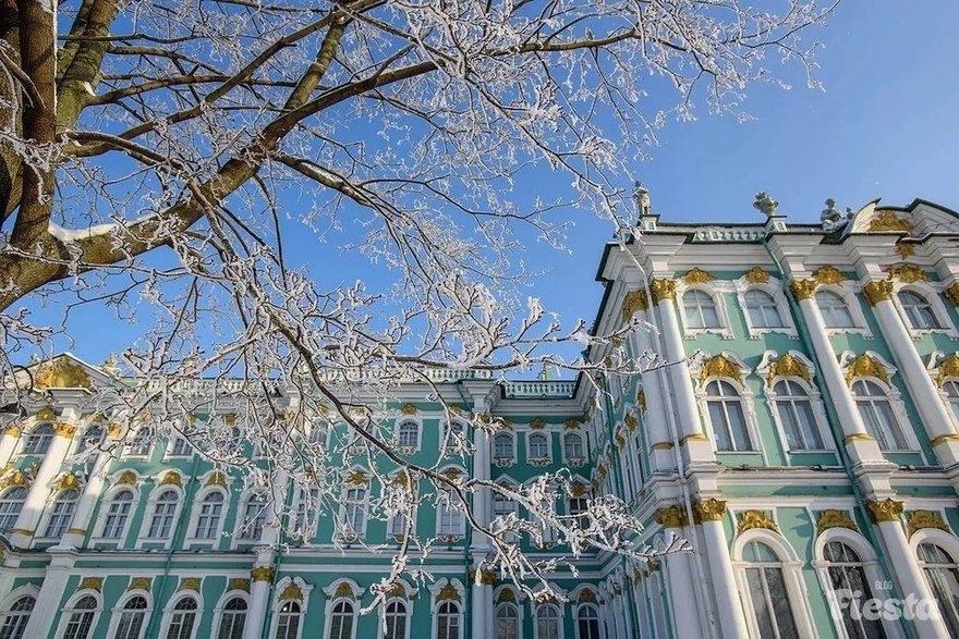 Дни Эрмитажа в Петербурге: на какие новые выставки стоит сходить