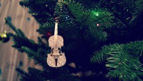 Концерт для скрипки и органа «В ожидании Рождества»