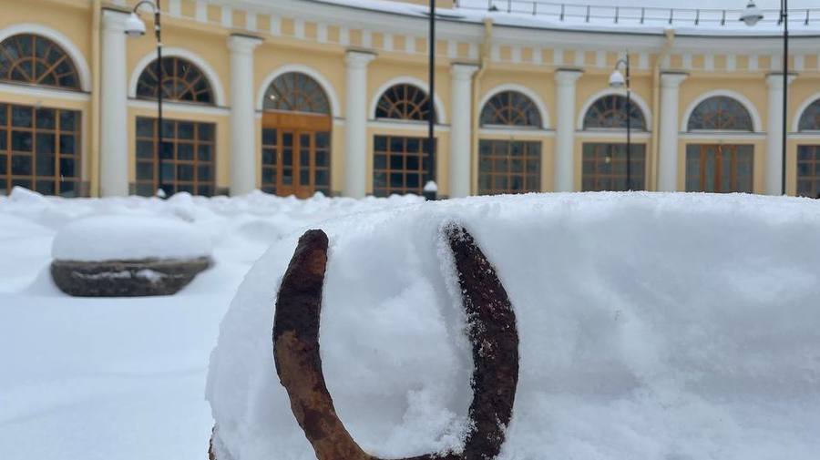 На территории Уткиной дачи нашли старинную подкову
