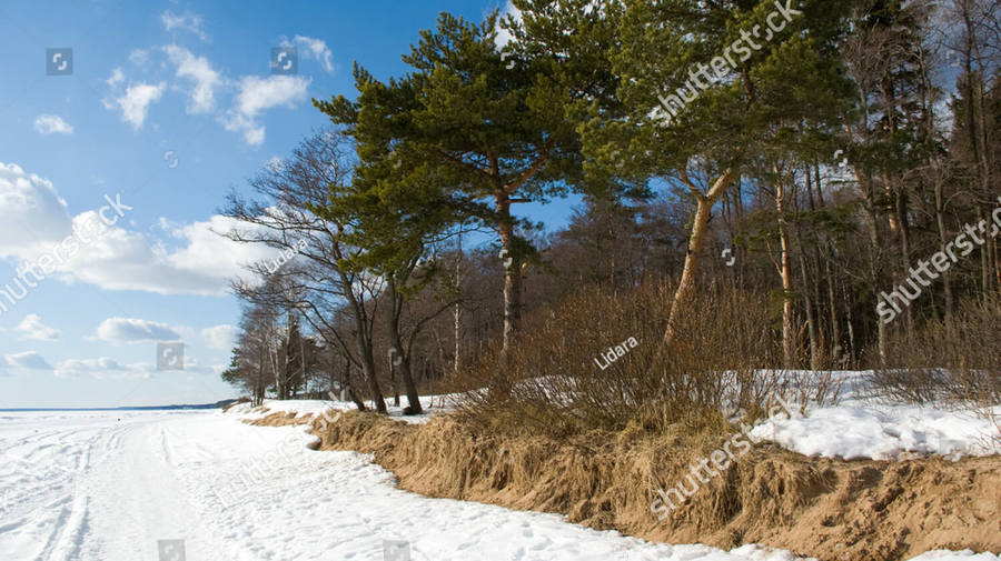 Природное путешествие в Комарово