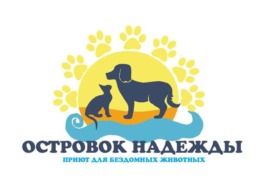 Добровольческая волонтерская деятельность колледж петербургской моды
