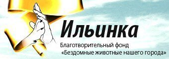 Приют для собак «Ильинка»
