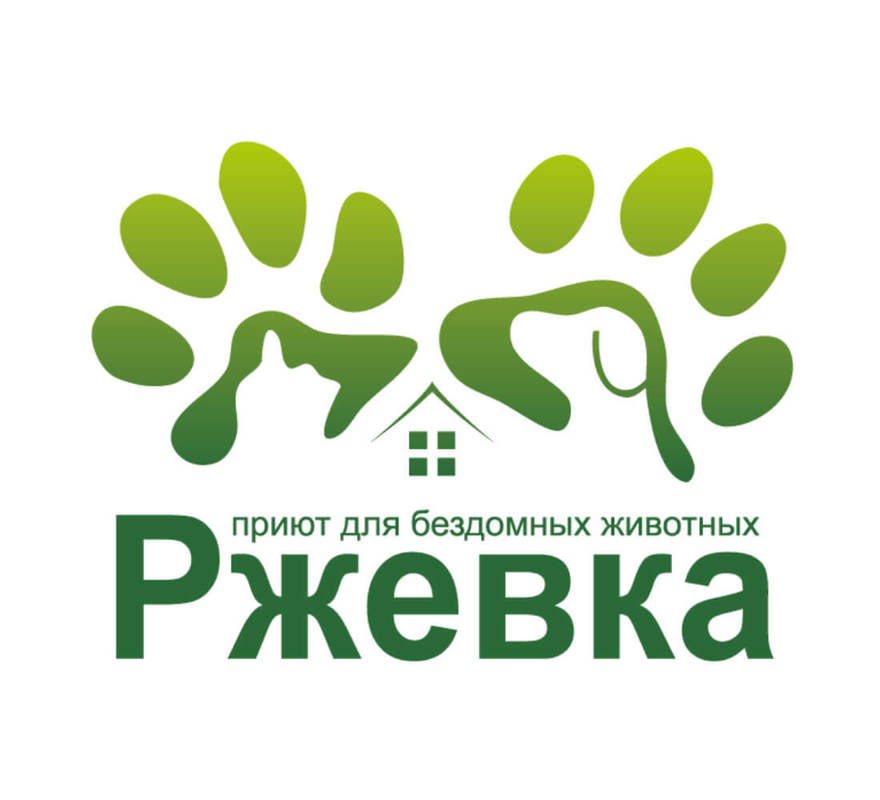 Добровольческая волонтерская деятельность колледж петербургской моды