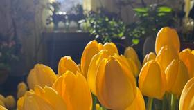 Фестиваль «Оттепель чувств» - 2025