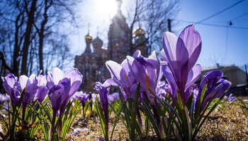 Гид по событиям на весенних каникулах в Петербурге