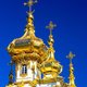 Экскурсия «Царское Село (Пушкин): дворец, парк и янтарная комната»