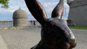 Экскурсия «Петропавловка для детей: тайны крепости и загадочные зайцы»