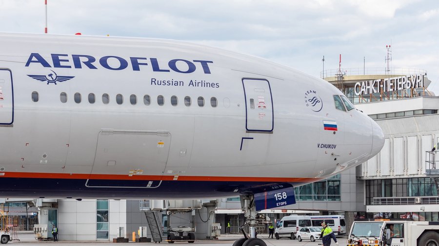Пассажиры «Аэрофлота» и «России» смогут провозить питомцев на пассажирских креслах
