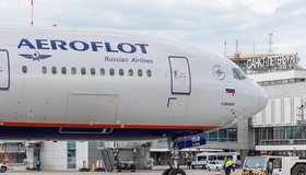 Пассажиры «Аэрофлота» и «России» смогут провозить питомцев на пассажирских креслах