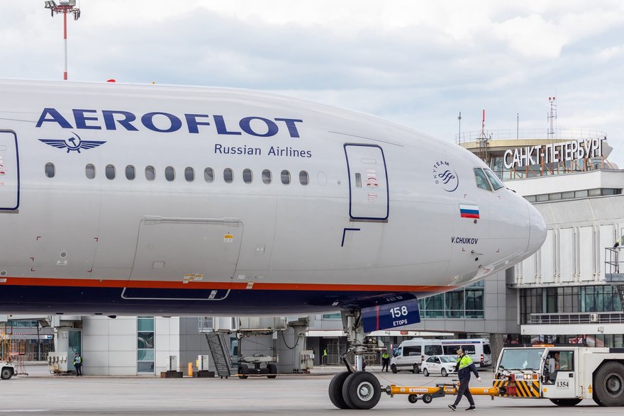 Пассажиры «Аэрофлота» и «России» смогут провозить питомцев на пассажирских креслах