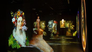 Иммерсивный мультимедийный проект «Секреты Джузеппе Арчимбольдо»