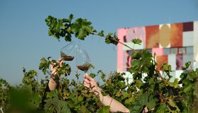 Всероссийская выставка вина «Виноиндустрия 2024»