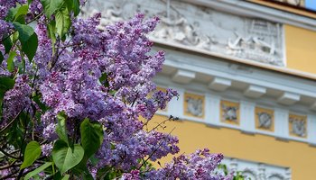 Чем заняться на выходных в Петербурге с 24 по 26 мая