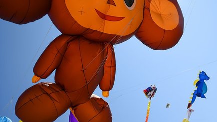 Кайт-пикник с запуском воздушных змеев на Форте Константин — фото 2