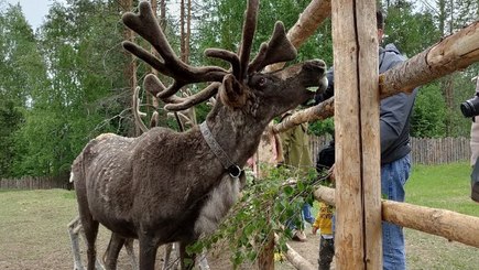 Автобусный тур «Ладога. Ладожские шхеры на катерах + водопады» — фото 6