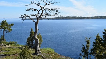 Экскурсия на катерах «Ладожские шхеры» — фото 9
