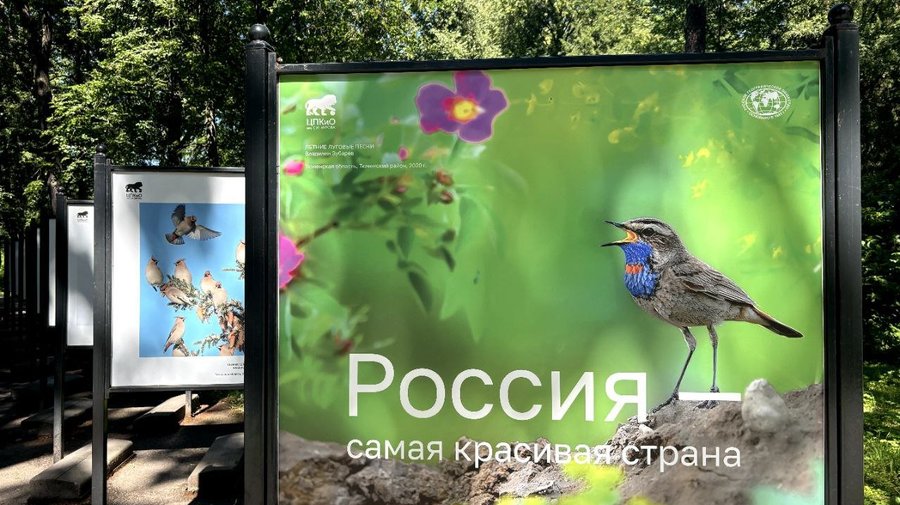 Фотовыставка «Россия – самая красивая страна»