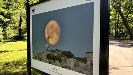 Фотовыставка «Россия – самая красивая страна» — фото 2