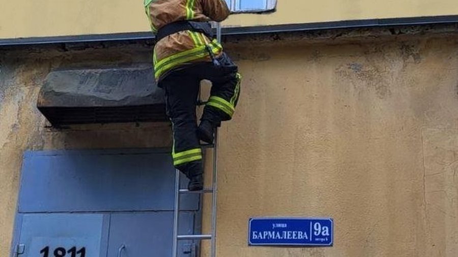 Специалисты МЧС и энергетики спасли бездомного кота
