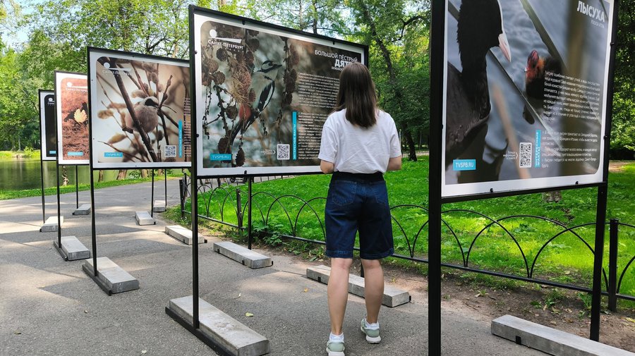 Авторская фотовыставка Павла Глазкова «Лесной репортаж»