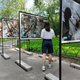 Авторская фотовыставка Павла Глазкова «Лесной репортаж»