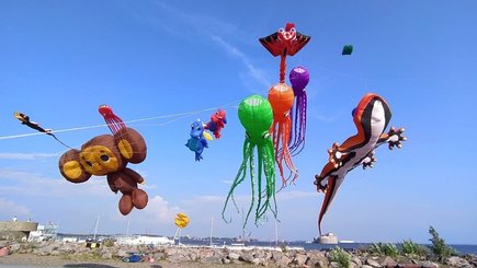 Фестиваль воздушных змеев «Фортолёт»—2026 — фото 1