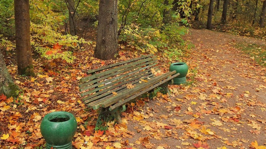 Репинский парк