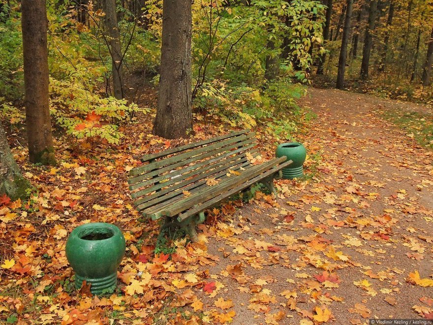 Репинский парк