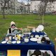 ☦ Ярмарка, мастер-классы и день открытых дверей в Софийском соборе