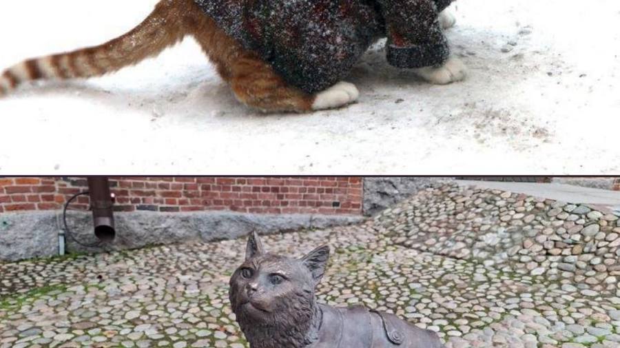 Памятник коту Филимону установили в Ленобласти