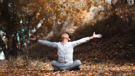 Секреты таинственного особняка: Осенний детский лагерь 🍂 — фото 4