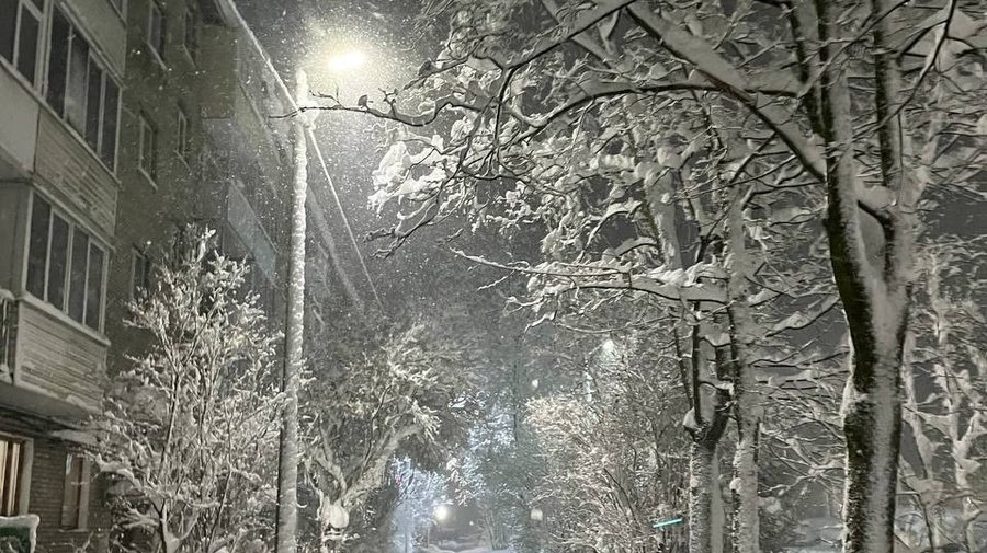 В Петербурге эта зима может быть самой тёплой из всех мегаполисов России, — синоптики
