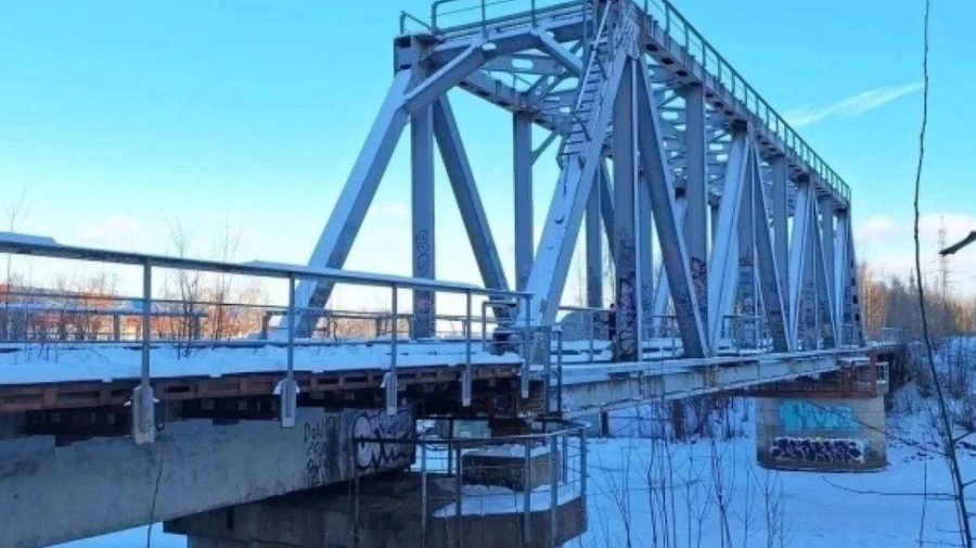 Железнодорожный мост через Охту могут превратить в общественное пространство
