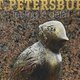 Лекция «Петербург. Чувства в деталях» 