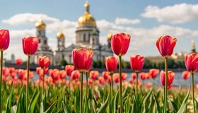 Гид по 8 марта в Петербурге