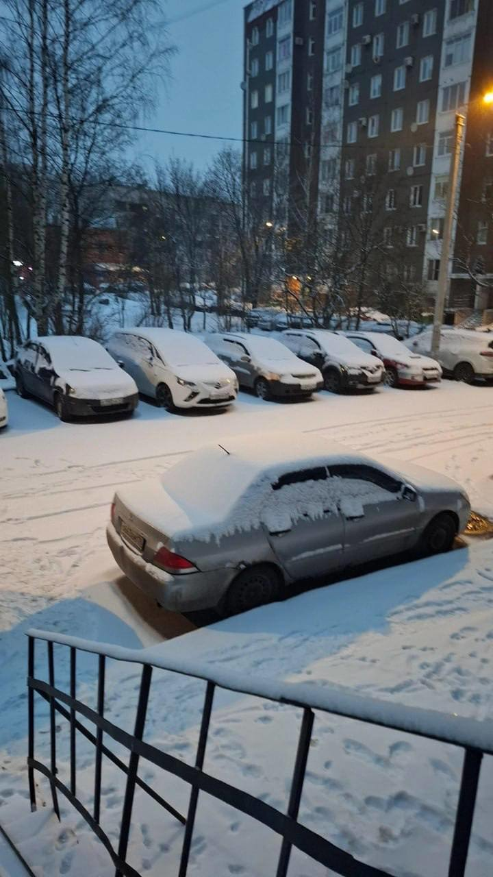 ️ В Петербурге утро сегодня началось с весеннего снегопада