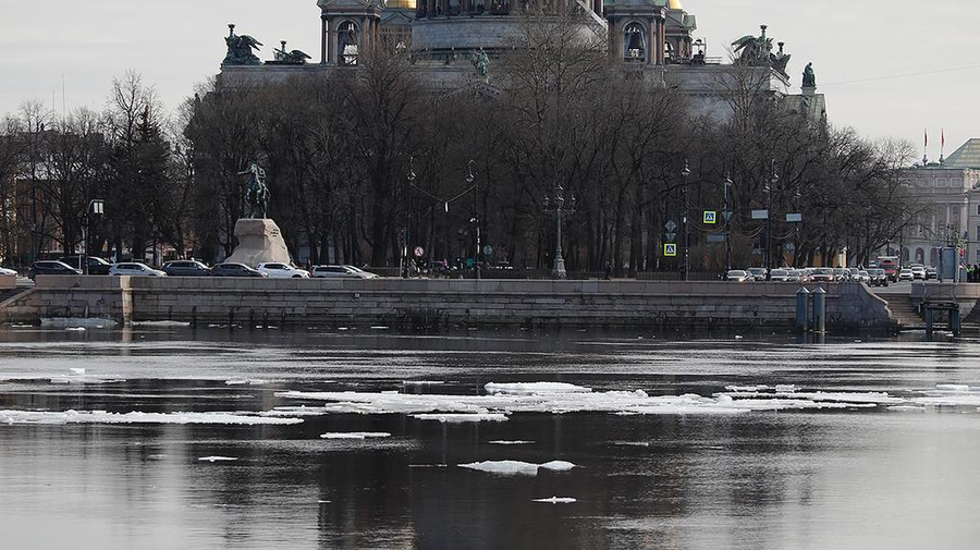 ️ До +10 градусов потеплеет на выходных в Петербурге.